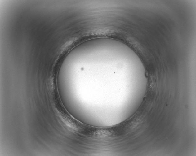 X0000063520636200601231516