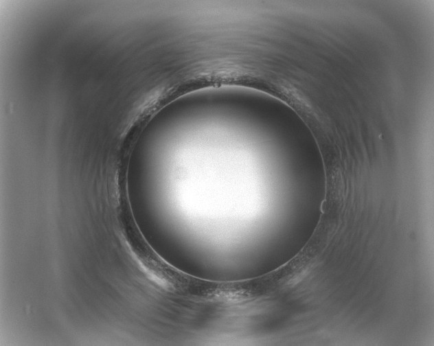 X0000063520638200601231516