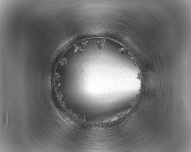 X0000063520640200601231517