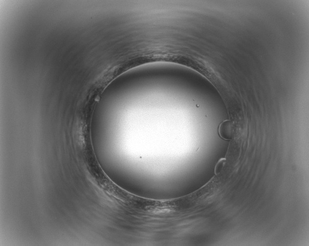 X0000063520643200601231517