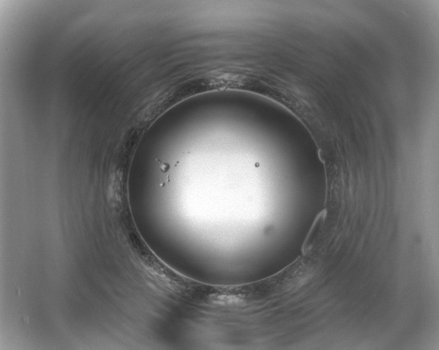 X0000063520649200601231517