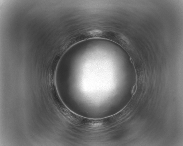 X0000063520651200601231517