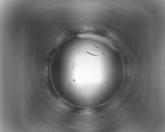 X0000063520652200601231517