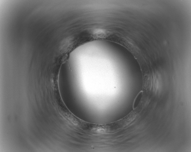 X0000063520655200601231517