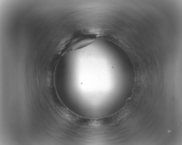 X0000063520656200601231517