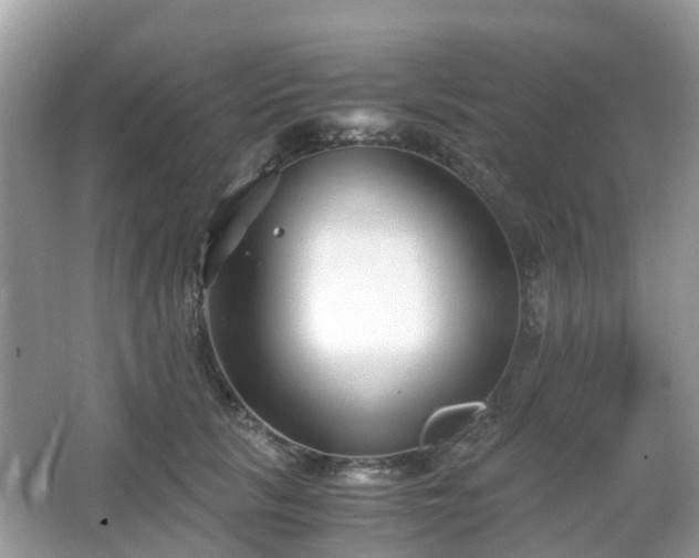 X0000063520657200601231517