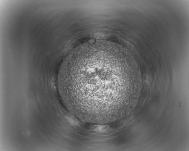 X0000063520663200601231517