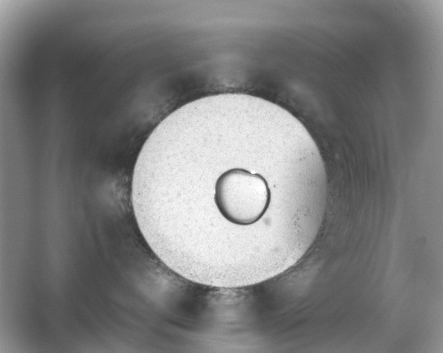 X0000063520672200601231517