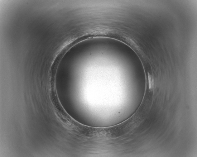 X0000063520675200601231516