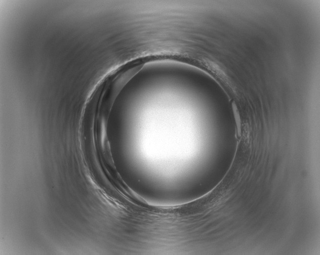 X0000063520676200601231516