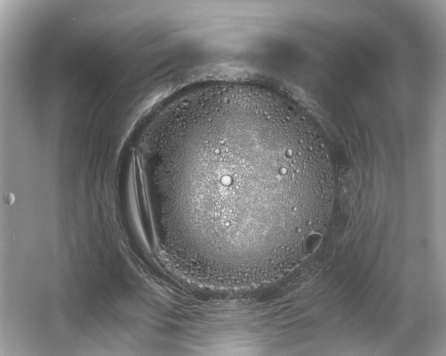 X0000063520679200601231516