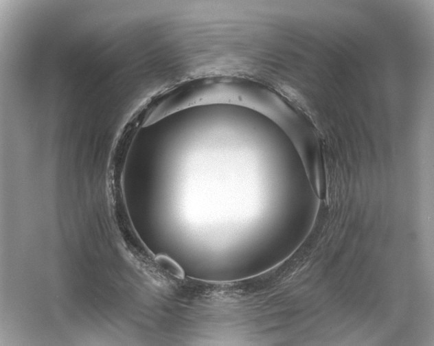 X0000063520680200601231516