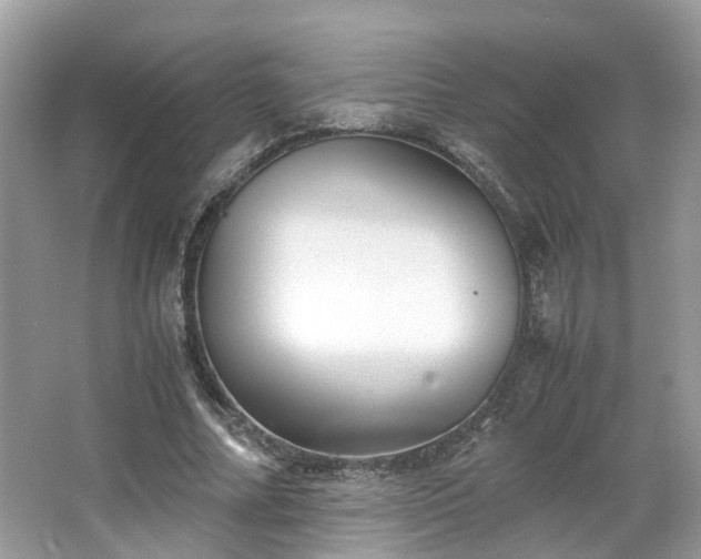 X0000063520682200601231516