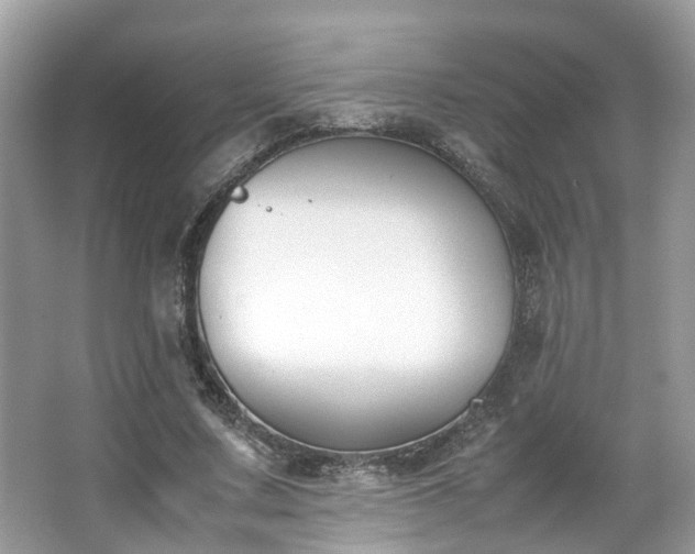 X0000063520683200601231516