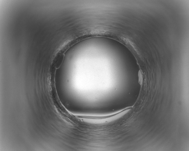 X0000063520684200601231516