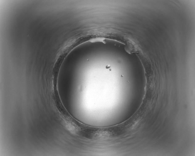 X0000063520685200601231516