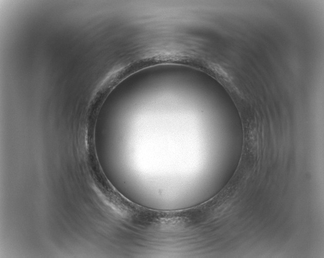 X0000063520686200601231516