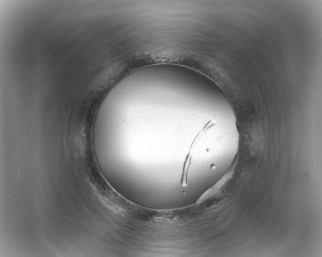 X0000063520690200601231516