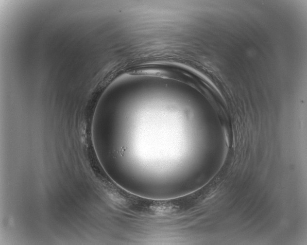 X0000063520693200601231516