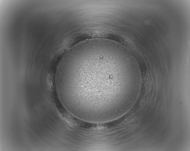 X0000063520695200601231516