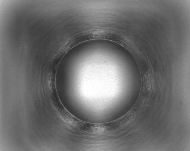 X0000063520698200601231516