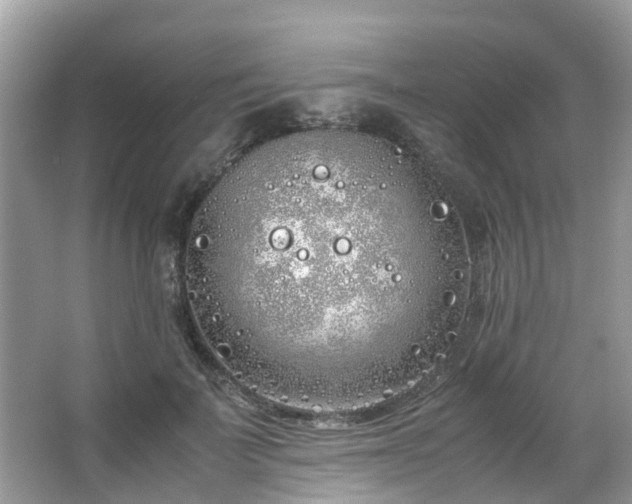 X0000063520699200601231516