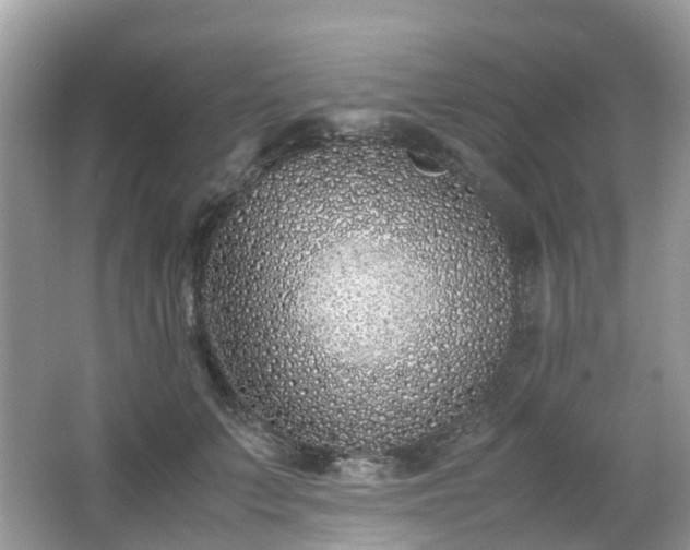 X0000063520703200601231516