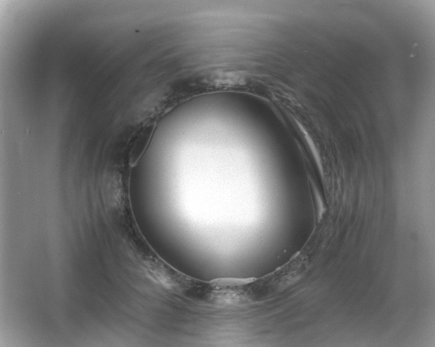 X0000063520704200601231516