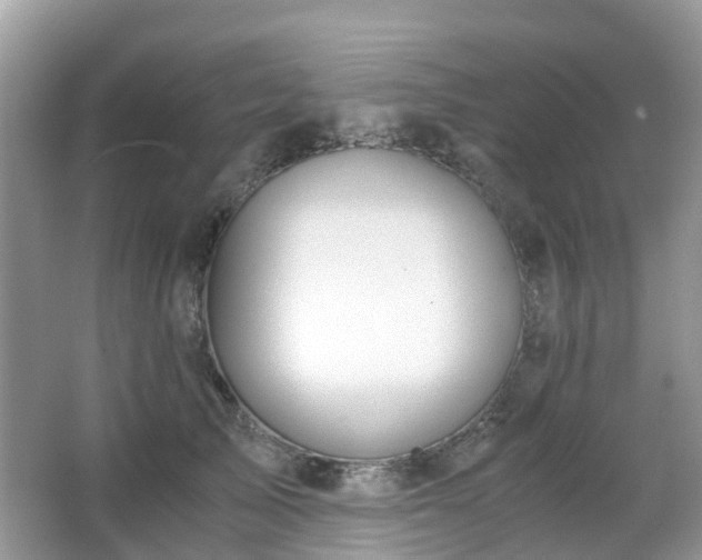 X0000063520705200601231516