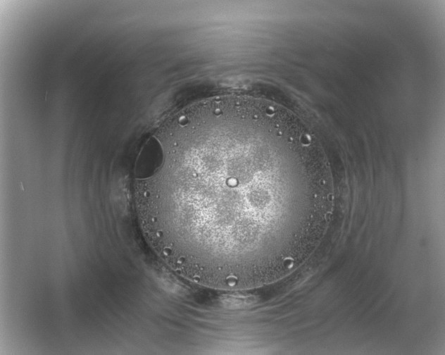 X0000063520707200601231516