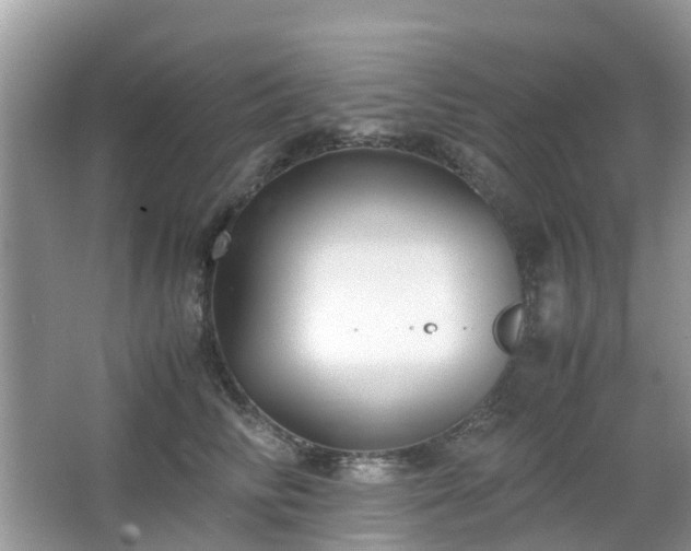 X0000063520710200601231516