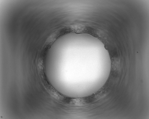 X0000063520713200601231516