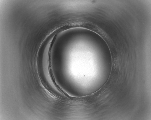 X0000063520722200601231515