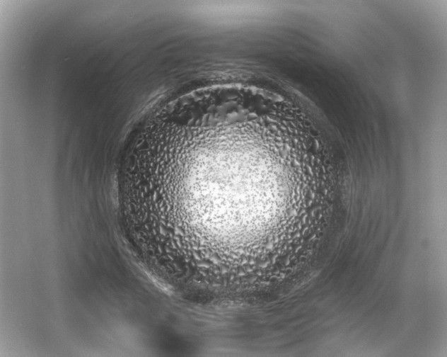 X0000063520729200601231515