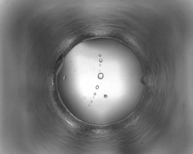 X0000063520733200601231515