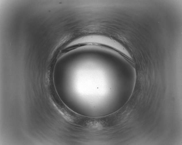 X0000063520735200601231515