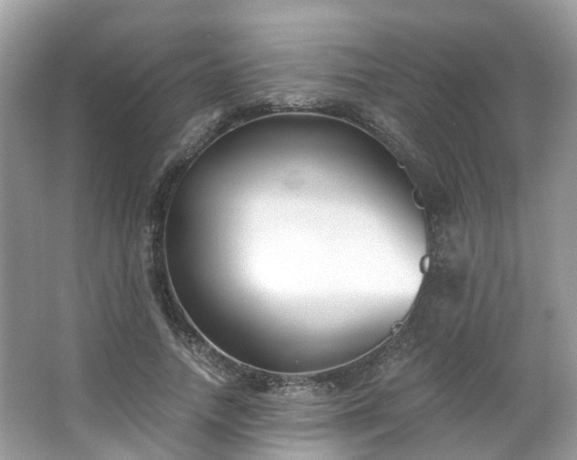 X0000063520738200601231515