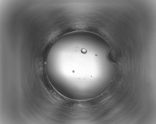 X0000063520739200601231515