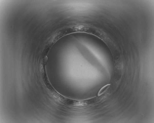 X0000063520754200601231515