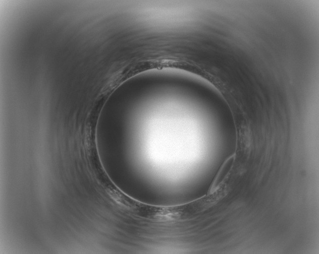 X0000063520760200601231515