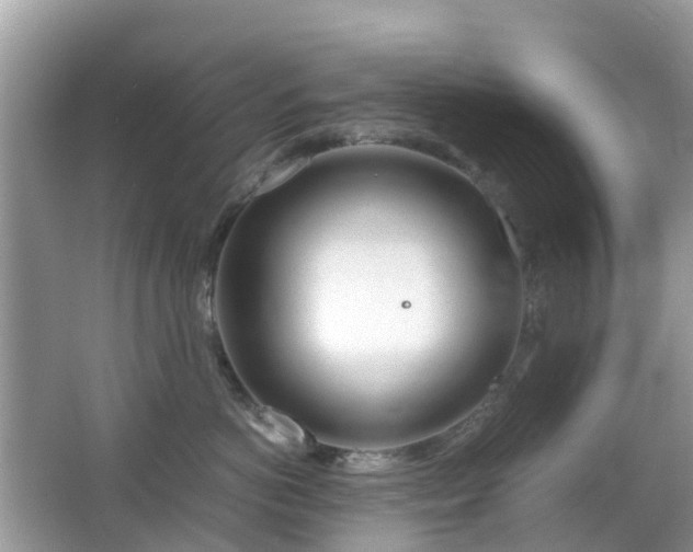 X0000063520766200601231515