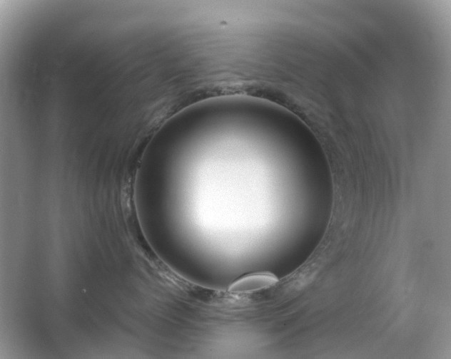 X0000063520768200601231515