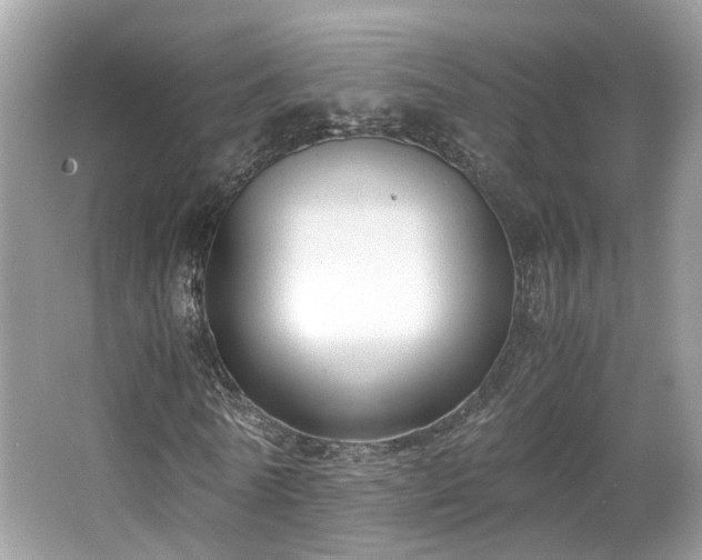 X0000063520770200601231515