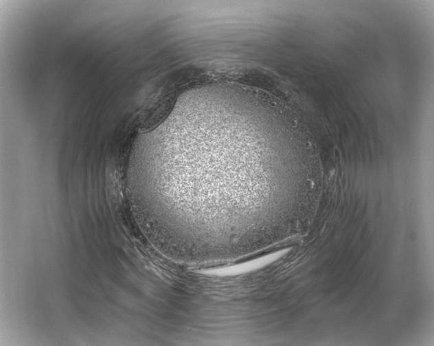 X0000063520772200601231515