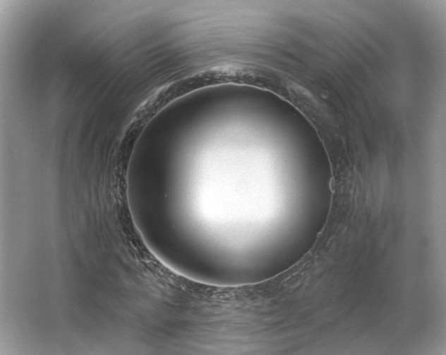 X0000063520776200601231514