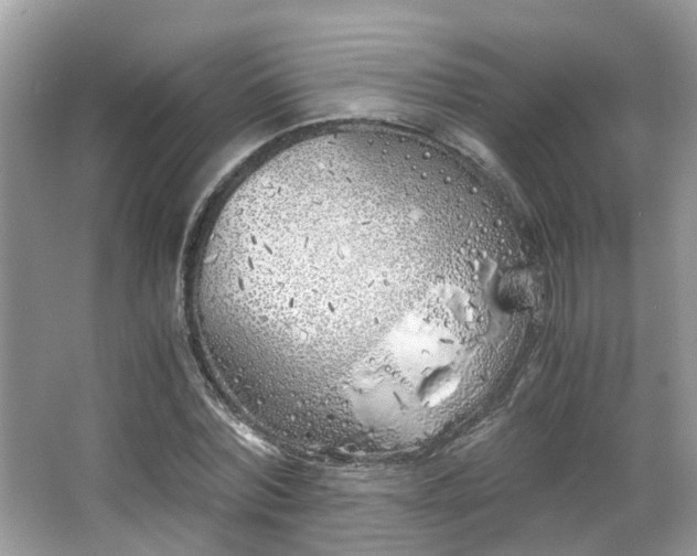 X0000063520780200601231514