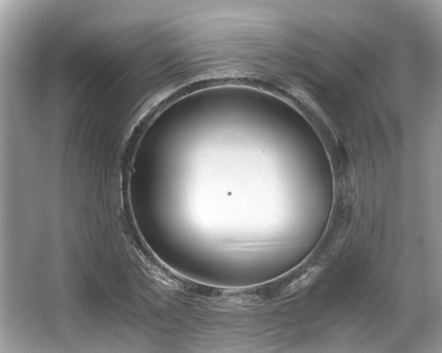 X0000063520781200601231514