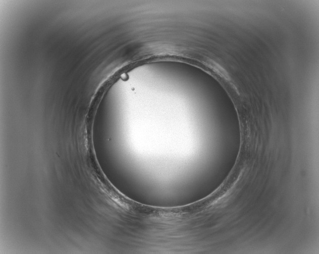 X0000063520782200601231514