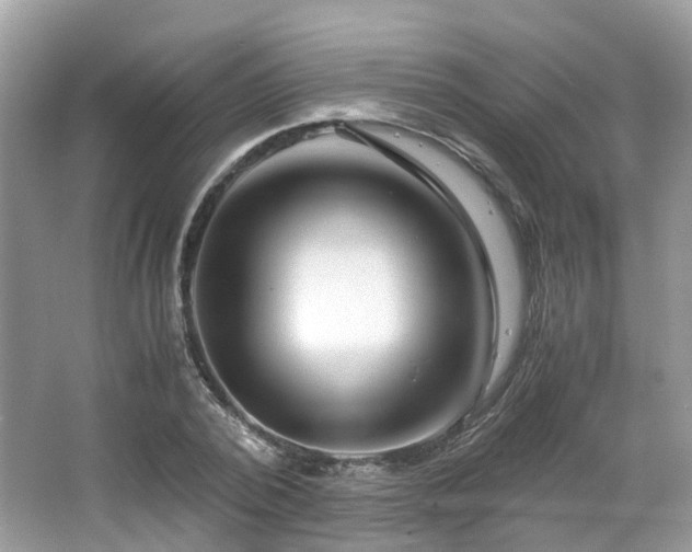 X0000063520784200601231514