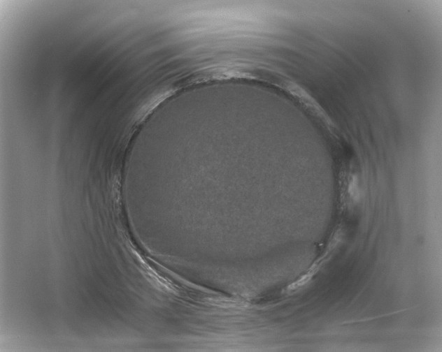 X0000063520785200601231514